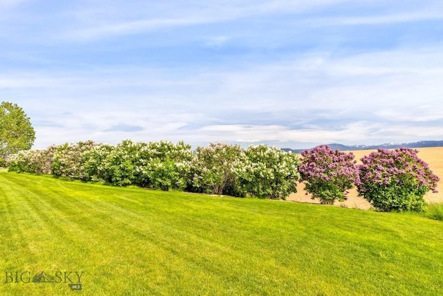 14549 High Flat Rd, Bozeman, MT 59718 - view of green lawn