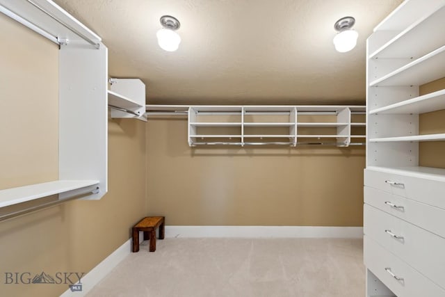 381 Bozeman Trail Rd, Bozeman, MT 59715 - spacious closet featuring carpet flooring