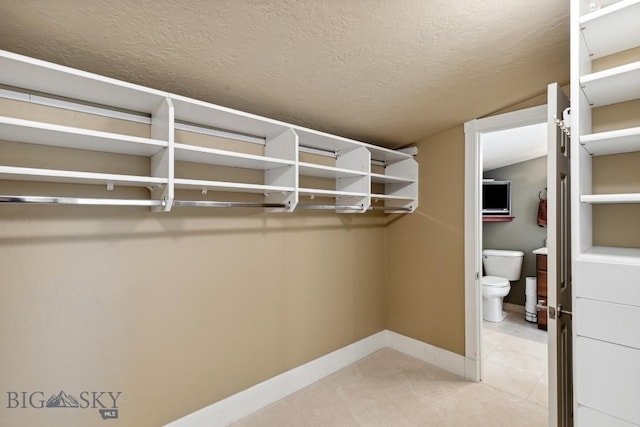 381 Bozeman Trail Rd, Bozeman, MT 59715 - spacious closet featuring vaulted ceiling and light carpet