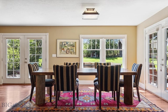 381 Bozeman Trail Rd, Bozeman, MT 59715 - dining area with french doors, plenty of natural light, and wood finished floors