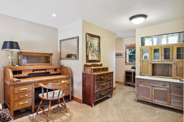 381 Bozeman Trail Rd, Bozeman, MT 59715 - home office with light carpet, a textured ceiling, and baseboards