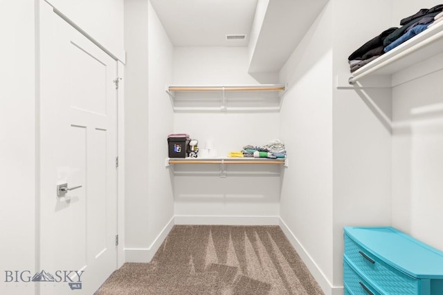walk in closet featuring visible vents and carpet