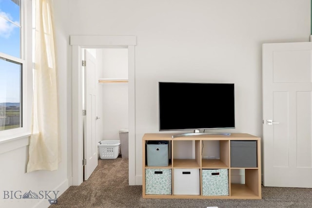 unfurnished bedroom with carpet