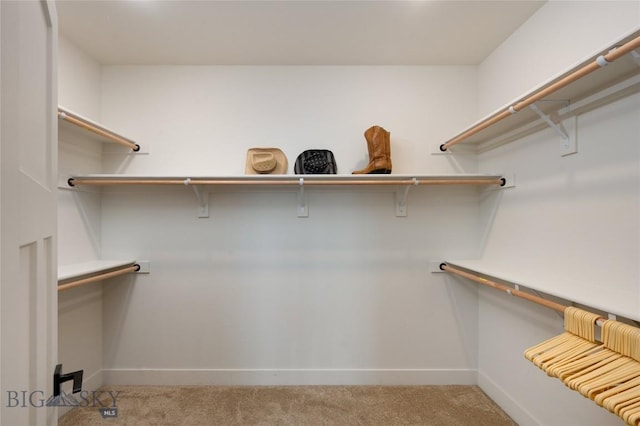 walk in closet with light carpet