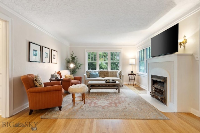 1014 S 6th St, Bozeman, MT 59715 - living area with wood finished floors, a fireplace with flush hearth, a textured ceiling, baseboards, and ornamental molding