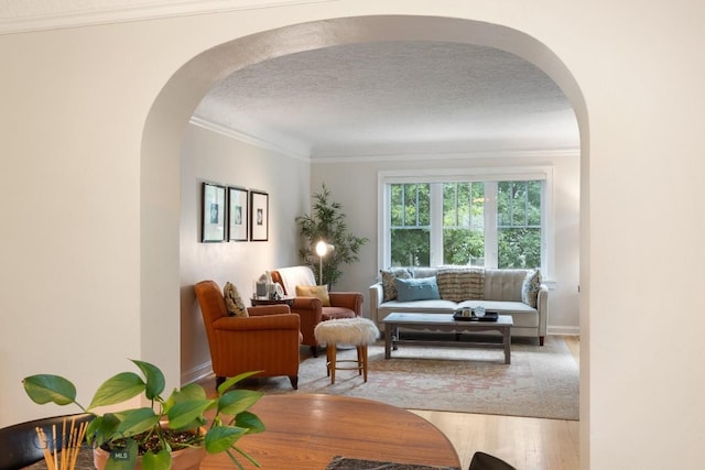 1014 S 6th St, Bozeman, MT 59715 - living room featuring crown molding, a textured ceiling, and arched walkways
