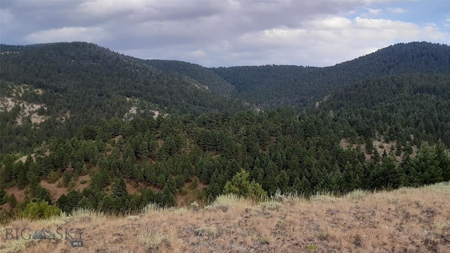1842 Skyline Rd, Three Forks, MT 59752 - property view of mountains with a forest view