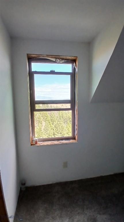 1842 Skyline Rd, Three Forks, MT 59752 - bonus room featuring carpet