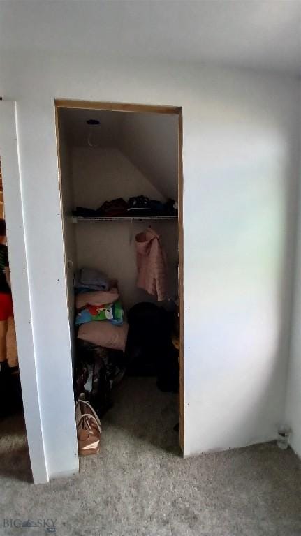 1842 Skyline Rd, Three Forks, MT 59752 - view of closet