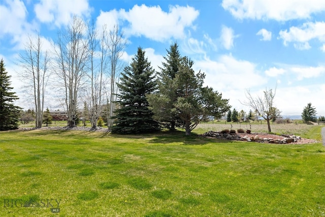 view of yard