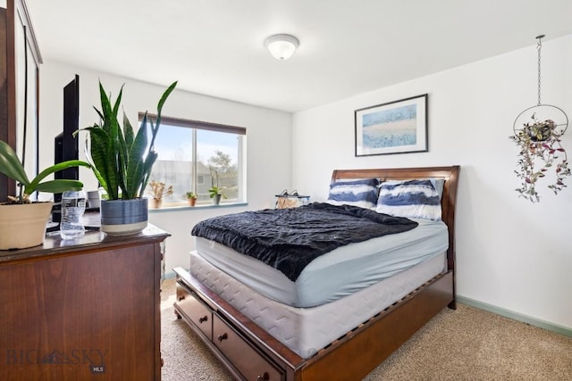 116 Michael Grove Ave, Bozeman, MT 59718 - bedroom featuring baseboards and carpet
