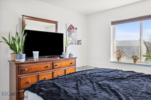116 Michael Grove Ave, Bozeman, MT 59718 - view of bedroom