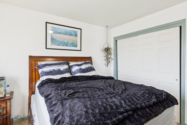 116 Michael Grove Ave, Bozeman, MT 59718 - bedroom with a closet
