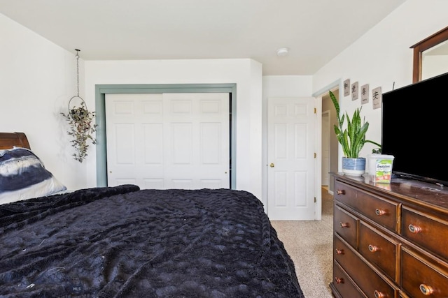 116 Michael Grove Ave, Bozeman, MT 59718 - bedroom with a closet and light colored carpet
