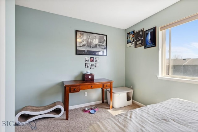 116 Michael Grove Ave, Bozeman, MT 59718 - carpeted bedroom featuring baseboards