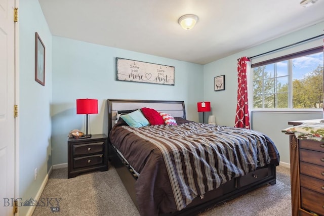 116 Michael Grove Ave, Bozeman, MT 59718 - bedroom with carpet and baseboards