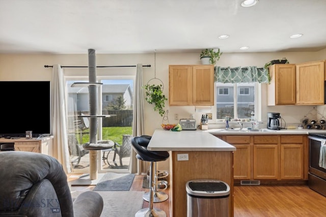 116 Michael Grove Ave, Bozeman, MT 59718 - kitchen featuring stainless steel gas range oven, a breakfast bar, open floor plan, light wood-style floors, and light countertops
