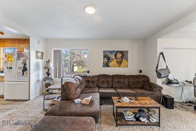502 W Front St, Livingston, MT 59047 - living room with a textured ceiling