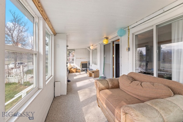 502 W Front St, Livingston, MT 59047 - sunroom / solarium with carpet flooring