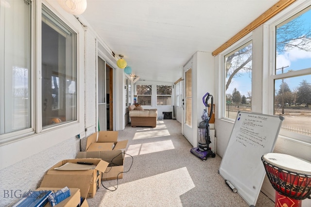 502 W Front St, Livingston, MT 59047 - sunroom with carpet