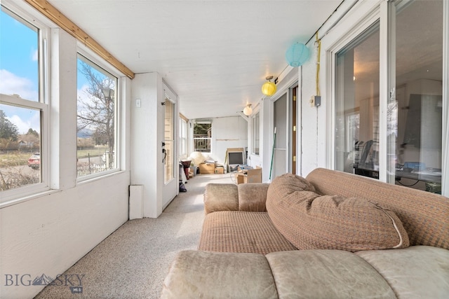 502 W Front St, Livingston, MT 59047 - sunroom / solarium featuring carpet floors