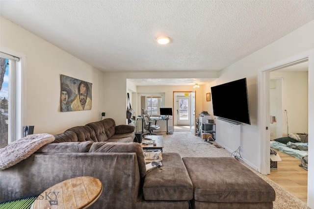 502 W Front St, Livingston, MT 59047 - living room with plenty of natural light and a textured ceiling