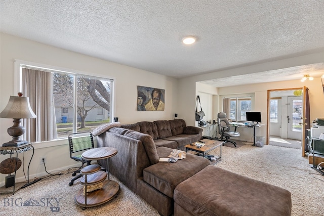 502 W Front St, Livingston, MT 59047 - carpeted living room featuring a textured ceiling, baseboards, and a healthy amount of sunlight