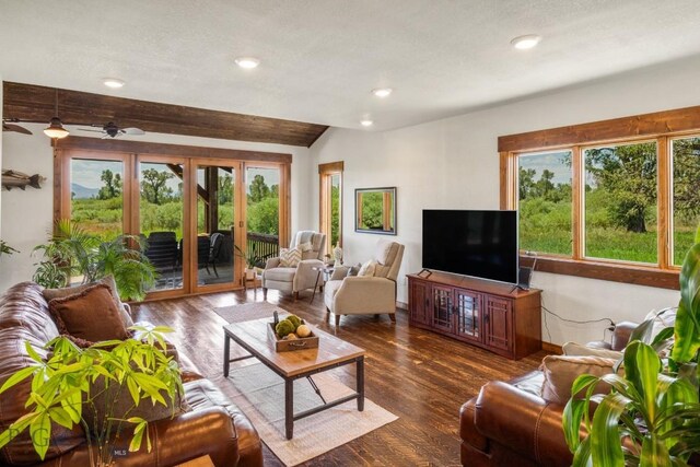 living room featuring dark wood finished floors, plenty of natural light, french doors, and recessed lighting