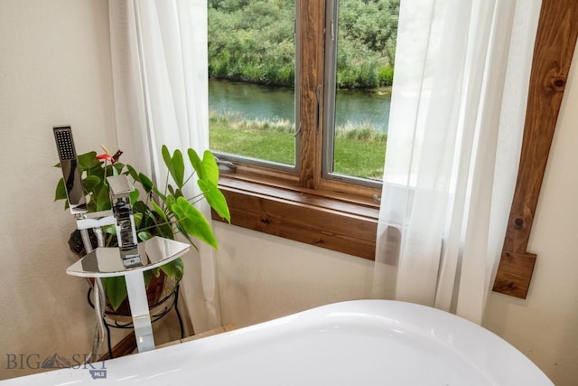 room details with a water view and a freestanding tub