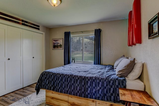bedroom with a closet and wood finished floors