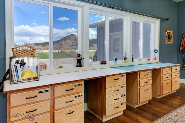 kitchen featuring light countertops, light brown cabinets, a mountain view, and dark wood-style floors