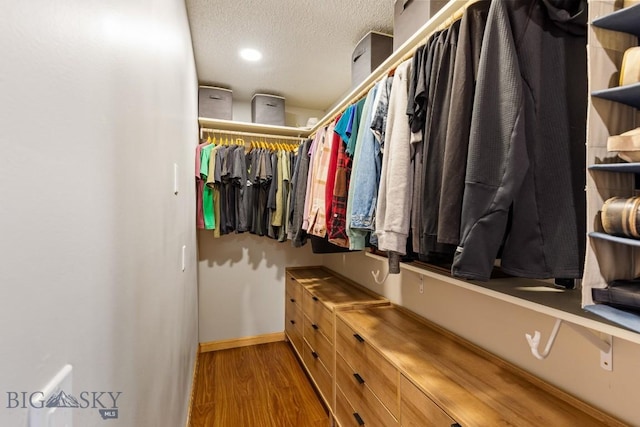 spacious closet with wood finished floors