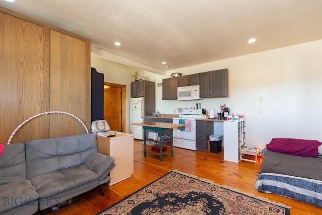 2 Dayspring Rd W, Sheridan, MT 59749 - living room featuring light wood finished floors, recessed lighting, and washer / clothes dryer