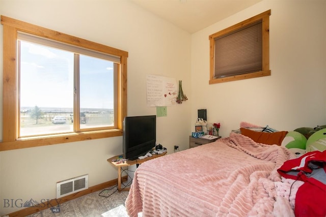 2 Dayspring Rd W, Sheridan, MT 59749 - bedroom featuring baseboards