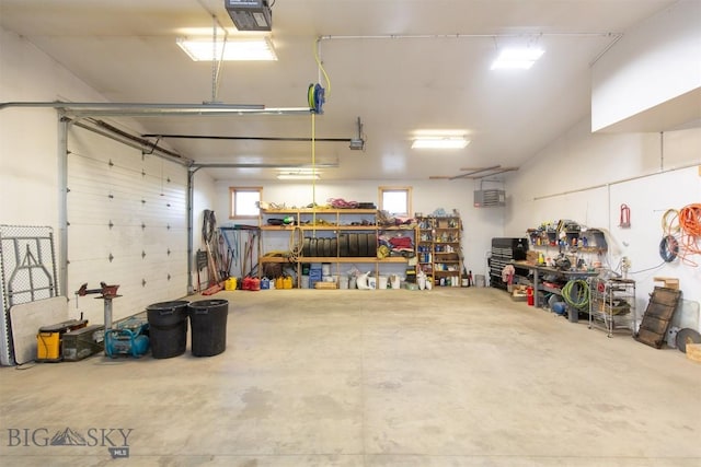2 Dayspring Rd W, Sheridan, MT 59749 - garage with a workshop area and a garage door opener