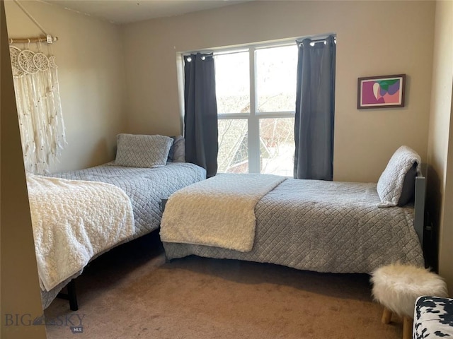 4277 W Babcock St Unit 6, Bozeman, MT 59718 - view of carpeted bedroom