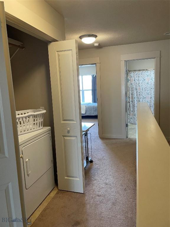 4277 W Babcock St Unit 6, Bozeman, MT 59718 - washroom with light carpet, washer / dryer, and baseboards