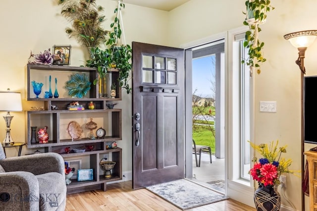 304 Farmall Ln, Manhattan, MT 59741 - doorway with wood finished floors
