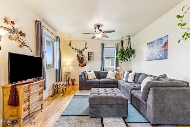 304 Farmall Ln, Manhattan, MT 59741 - living room featuring plenty of natural light, light wood-type flooring, ceiling fan, and baseboards