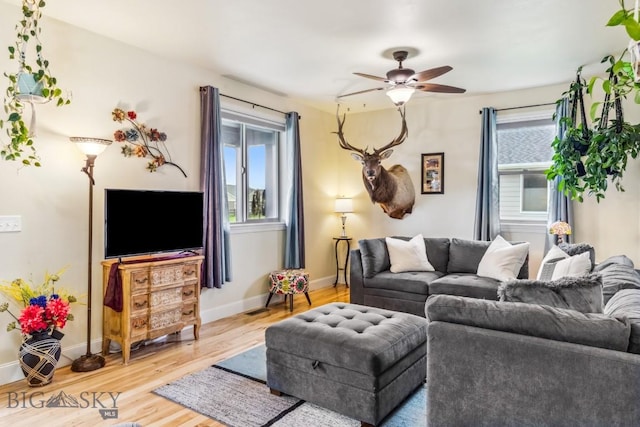 304 Farmall Ln, Manhattan, MT 59741 - living room featuring plenty of natural light, a ceiling fan, and light wood finished floors