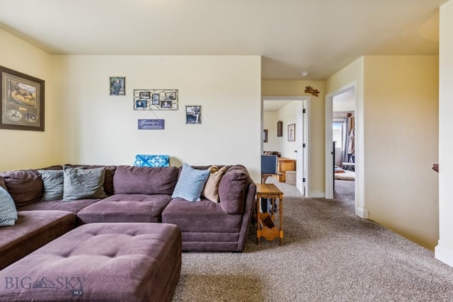 304 Farmall Ln, Manhattan, MT 59741 - view of carpeted living area