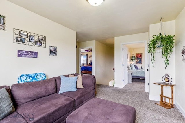 304 Farmall Ln, Manhattan, MT 59741 - carpeted living area with baseboards