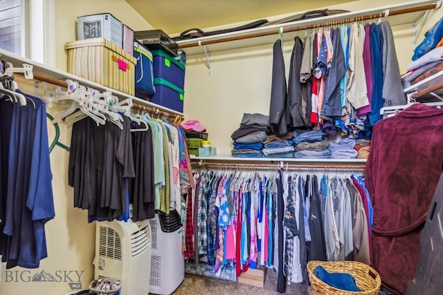 304 Farmall Ln, Manhattan, MT 59741 - spacious closet with carpet flooring