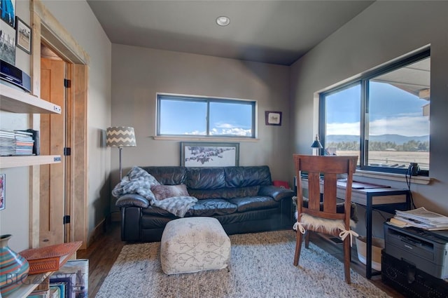 11762 Gooch Hill Rd, Gallatin Gateway, MT 59730 - living room featuring wood finished floors