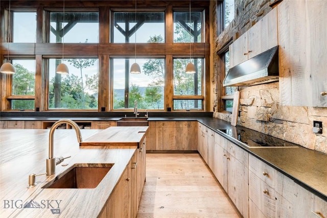 kitchen with under cabinet range hood, a sink, black electric cooktop, and light wood-type flooring