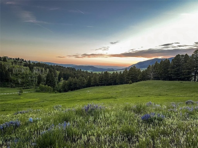 mountain view featuring a heavily wooded area