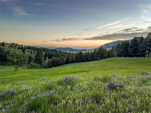 view of mountain background with a heavily wooded area