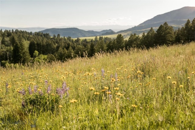 view of mountain background