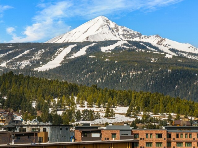 211 Town Center Ave Unit 2A, Big Sky, MT 59716