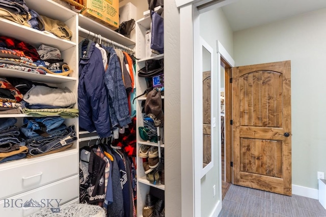 754 Milestone Dr, Belgrade, MT 59714 - view of spacious closet